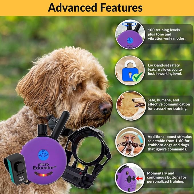 Educator ME-300 DMBC Micro E-Collar for Small & Medium Dogs with Remote, Night Light & Finger Clicker – Waterproof & Rechargeable – 100 Levels Gentle Tapping Stimulation – 1/3 Mile Range – Purple