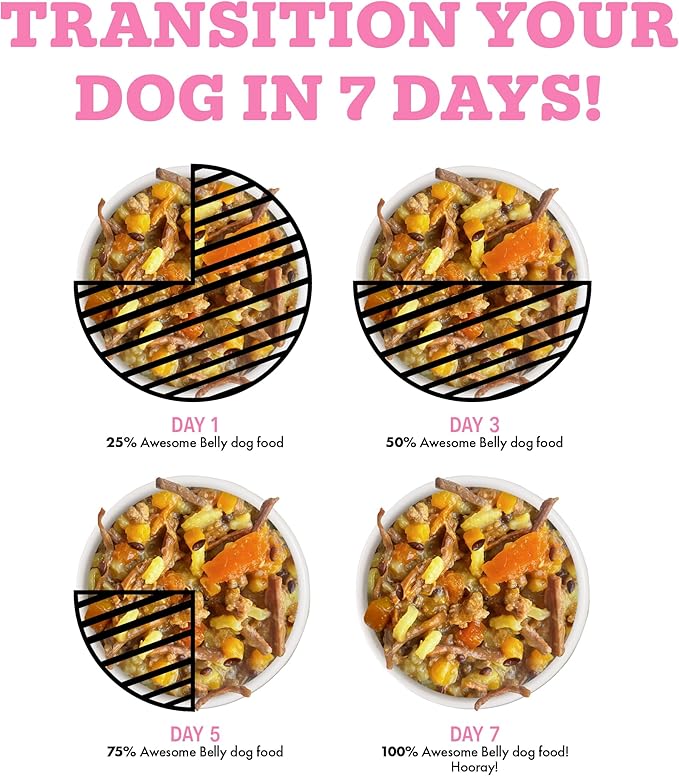 Weruva Awesome Belly Wet Dog Food, Beef & White Rice, 14oz Can (Pack of 10)