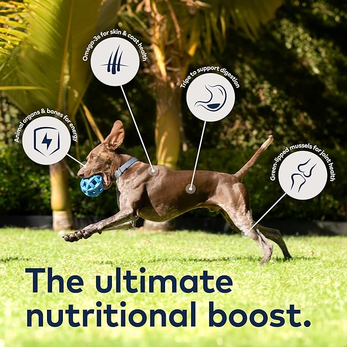 ZIWI Peak Wet Dog Food Variety Pack - Beef and Lamb, 6 Pack (6oz Each)