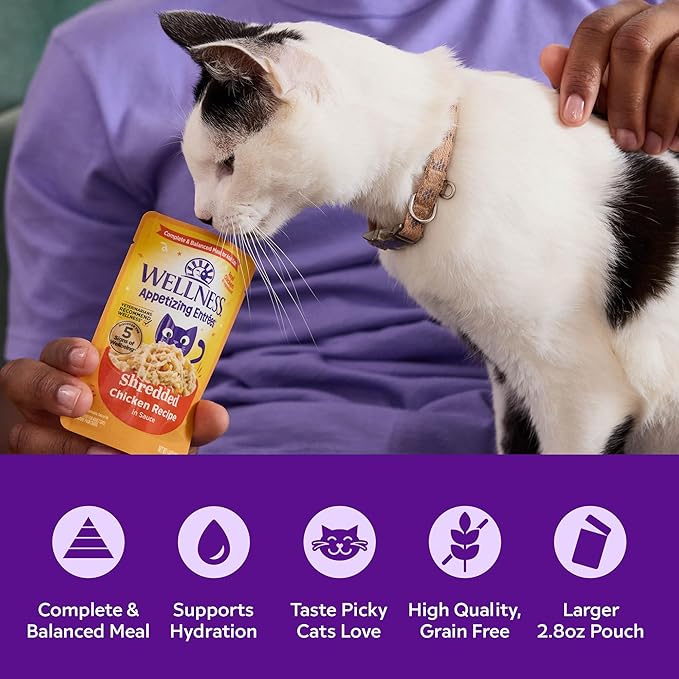 Wellness Appetizing Entrées Shredded, Adult Wet Cat Food, Natural, Protein-Rich, Grain-Free, 2.8 Ounce Pouch, 8 Pack, (Chicken & Egg Recipe)