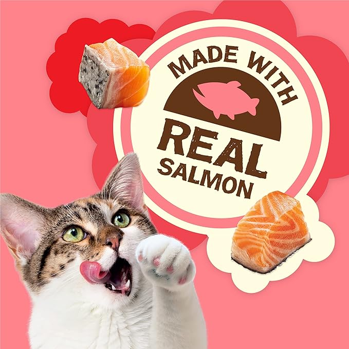 Purina Friskies Natural Cat Treats, Party Mix Natural Yums With Real Salmon and Vitamins, Minerals & Nutrients - (Pack of 10) 2.1 Oz. Pouches