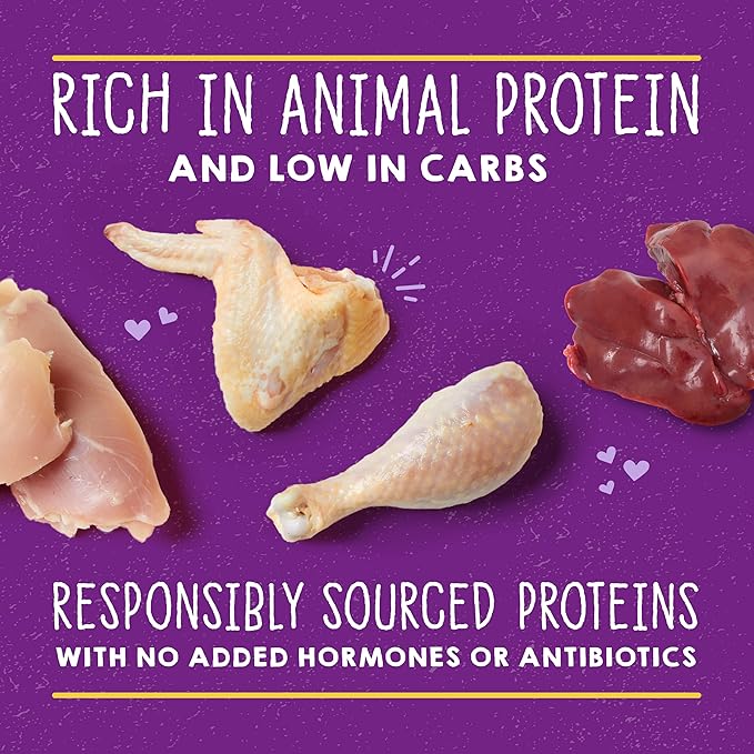 Stella & Chewy's Carnivore Cravings Purrfect Paté - Premium Grain-Free Wet Cat Food - Chicken & Liver Recipe - High Protein with Bone Broth - Perfect for Picky Eaters - 5.2oz Cans (24 Pack)