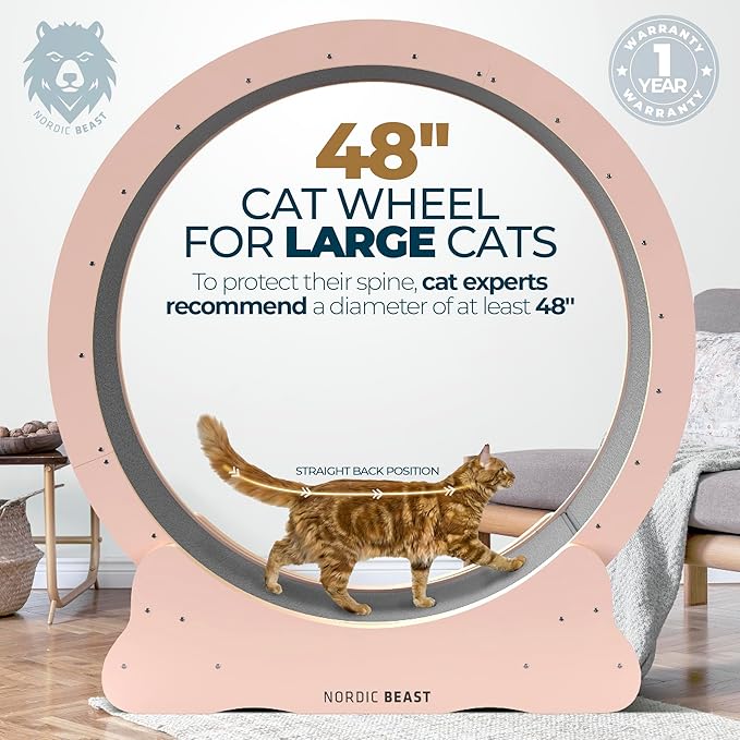 Pink 48'' XL Cat Wheel – Safe, Quiet & Stable Exercise Wheel for Large Indoor Cats up to 45 lbs – 15.7'' Extra-Wide Surface Fits 2 Cats Side by Side & Prevents Wobbling, 1-Year Warranty