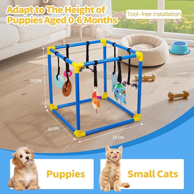 Liitrton Puppy Play Gym - Small Dogs Play Gym with 8 Hanging Toys, Indoor Puppy Jungle Gym with Interactive Dog Enrichment Toys, 19.5"x19.5"x19.5" PVC Frame (Blue)