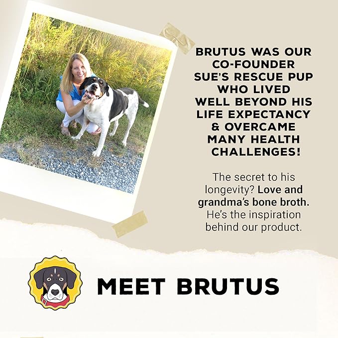 Brutus Broth Instant On The Go Vegetable Powder for Dogs - Vegetable Powder with Omegas 3, 6 & 9 & Turmeric - Human Grade Food Toppers for Dry Food & Picky Eaters - 5 Stick (Vegetable Flavor)