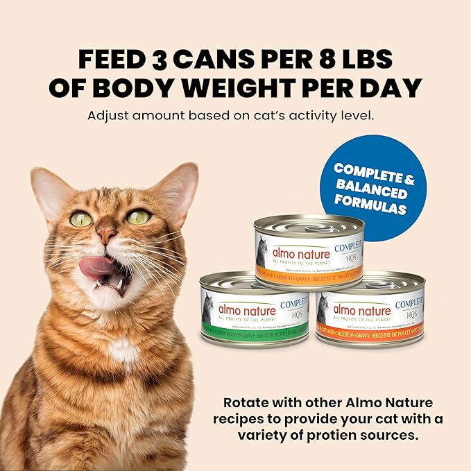 almo nature HQS Complete CAT Wet Cat Food Chicken Recipe with Carrots in Gravy - Grain-Free Cat Food Canned, 2.47 oz (Pack of 12)