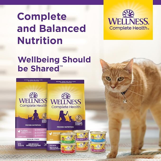 Wellness Complete Health Cubed Adult Wet Cat Food, Natural, Protein-Rich, Grain Free, 3 Ounce, 24 Pack, (Tuna Entrée)