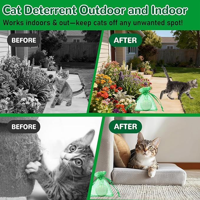 10 Pack Natural Peppermint Oil Cat Deterrent Balls, Outdoor Indoor Pet Deterrent for Cats & Dogs, Keep Cats Away from Yard Garden Plants Furniture Trash, Anti Scratch and Chew