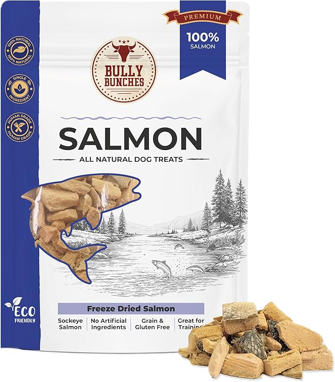 Bully Bunches Freeze Dried Salmon Dog Treats – Made in USA, Human Grade, All Natural Training Treats for Dogs, High Protein Salmon Bites, Healthy Dog Snacks, Grain Free, 3.53 oz