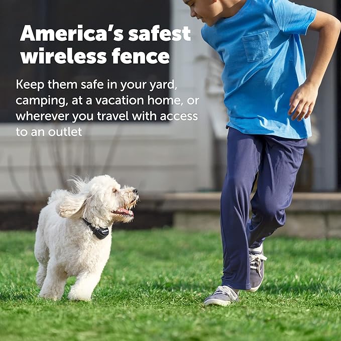 PetSafe Stay & Play Wireless Fence with Replaceable Battery Collar - Circular Boundary Covers Up to 3/4 Acre