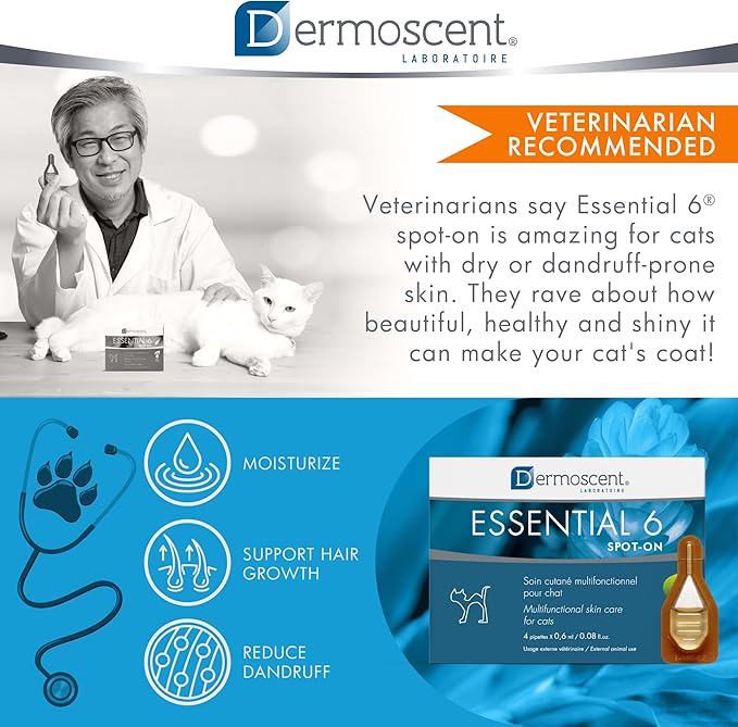 Bayer Dermoscent Essential 6 Spot On Skin Care for Cats Pet Itch Remedies