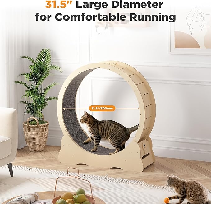 Cat Exercise Wheel Indoor, Quiet Medium Cat Treadmill with Detachable Carpeted Runway & Lock, 38.2” Exercise Running Wheel for Pet’s Health and Entertainment, (Natural, M)