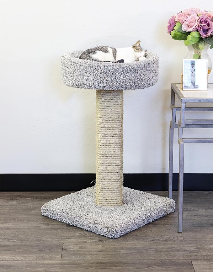 New Cat Condos Cat Scratching Post with Sleeping Perch