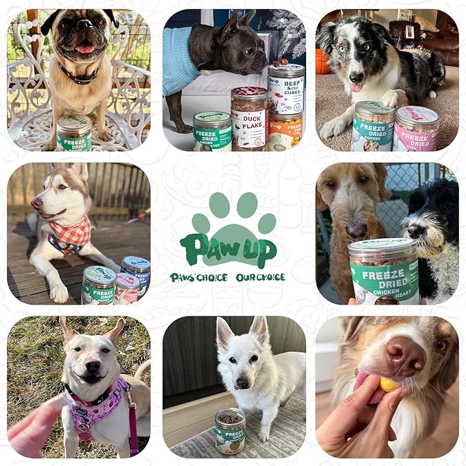 PAWUP Freeze Dried Dog Treats, Single Ingredient Natural Chicken Necks, High Protein Treats for Medium & Large Dogs Clean Teeth, 4.2 oz
