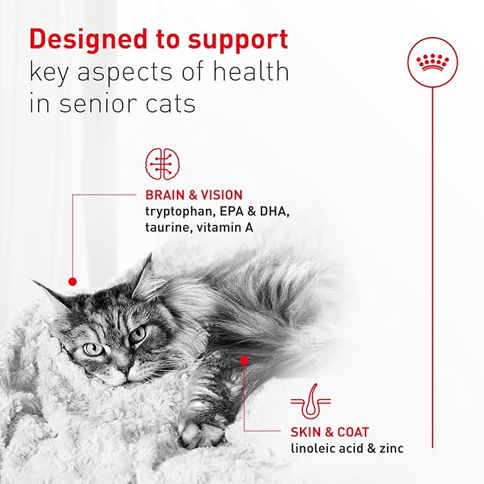Royal Canin Feline Health Nutrition Aging 11+ Wet Cat Food for Seniors, Thin Slices in Gravy for Cats Over 11 Years, Supports Optimal Health & Vitality, 3 oz can, case of 12