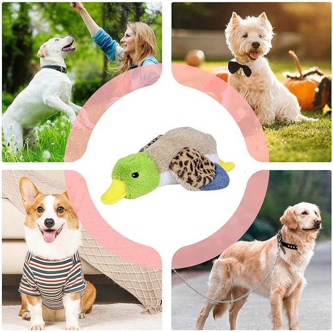 Dog Toys Set - Crinkle Squeaky Interactive Chew Toys | Puppy Play Pet Supplies, Sound Making Chew Toy Collection for Puppy Small Medium Large Dog Home Travel Daily Outdoor Garden Use
