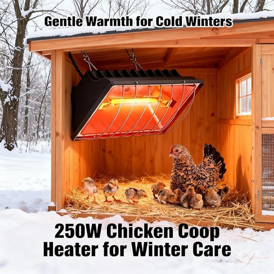 250W Chicken Coop Heater for Chicks Ducks Dog Kennel, Cat Bed, Reptiles, 2 Heating Mode Heat Lamp Warmer for Chicken Coop in Winter, Inside and Outdoor Pet Total 2 Heating Tube as Backup Lamp