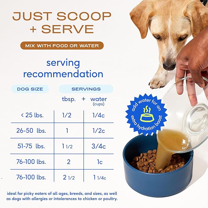 Native Pet Beef Bone Broth for Dogs (9.5 oz) & Organic Pumpkin for Dogs (16 oz.) - Food Topper for Picky Eaters and All-Natural, Organic Fiber Pumpkin Powder