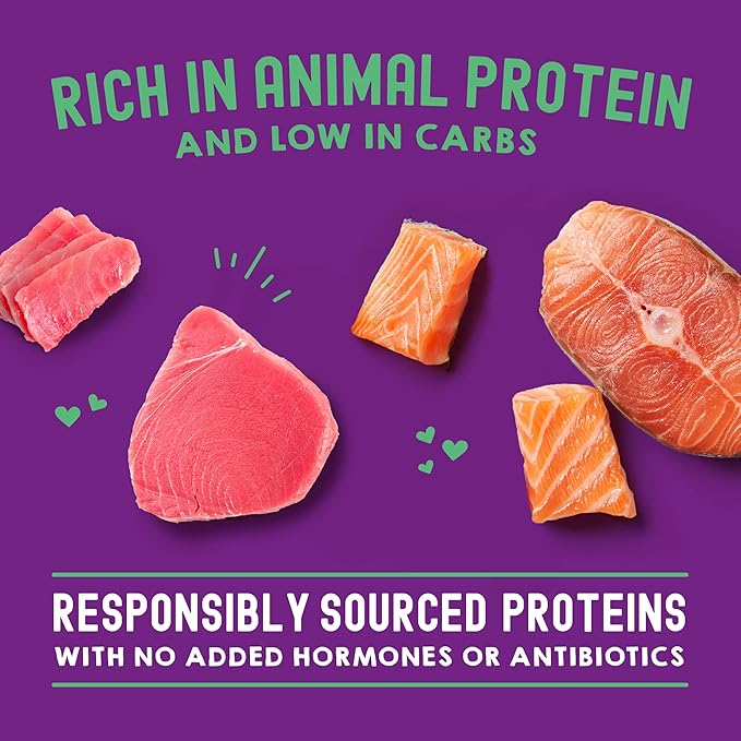 Stella & Chewy's Carnivore Cravings Wet Cat Food Pouches - Premium Salmon & Tuna Recipe - Grain-Free Morsels & Gravy - Perfect for Picky Eaters - Complete Meal or Topper - 2.8oz, 24-Pack