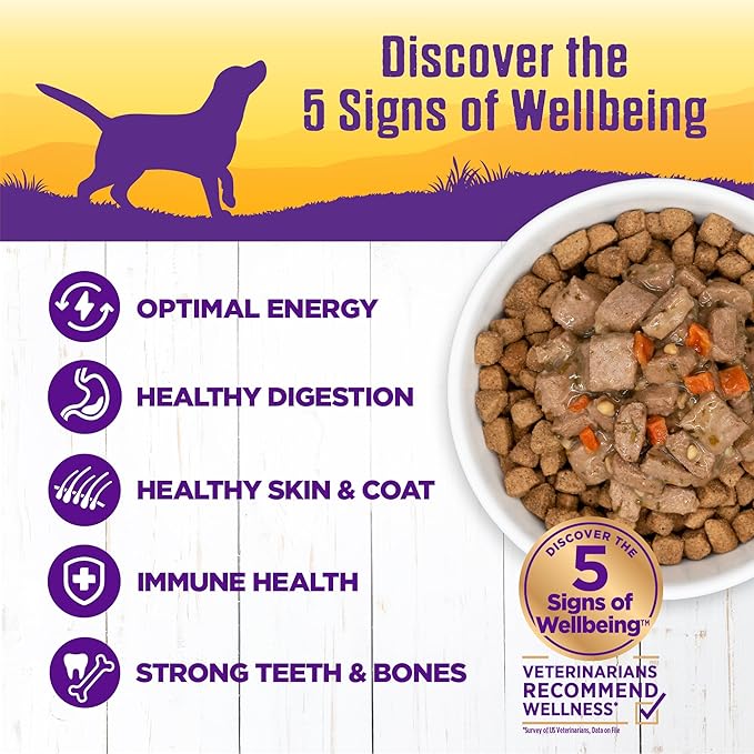 Wellness Complete Health Canned Wet Dog Food, Lamb & Beef Stew, 12.5-Ounce Can (Pack of 12)