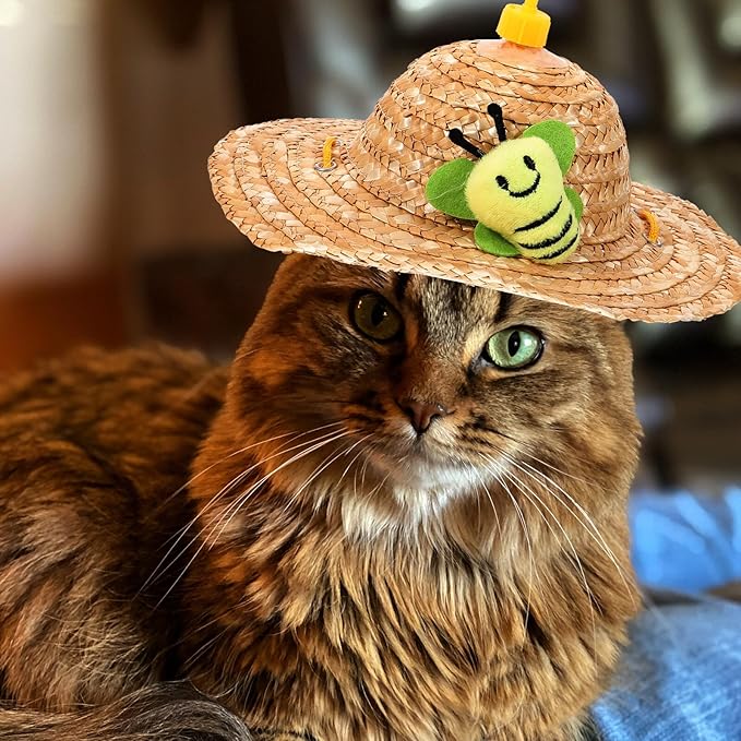 VOSAREA Pet Straw Hat and Straw Woven Cap, Playful Insect Pattern with Photo Props, Lightweight Breathable Pet Supplies for Small to Medium Dogs