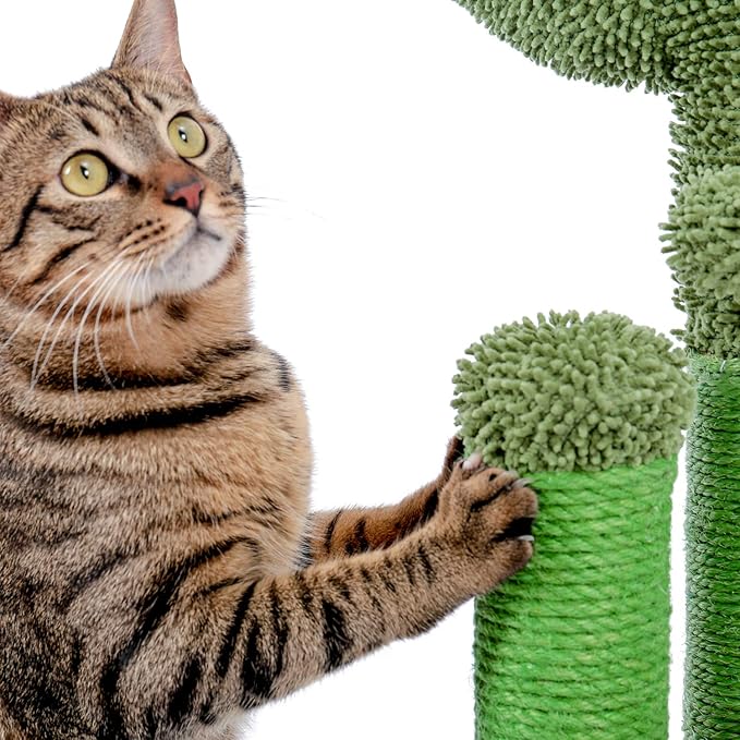 Cat Scratching Post Cactus Cat Scratching Board with 3 Scratching Poles and Interactive Hanging Ball for Medium-to-Large Cats