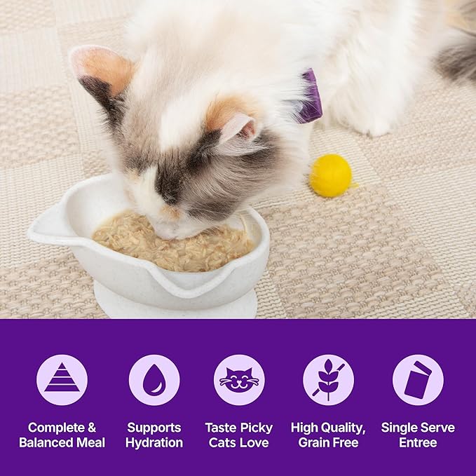 Wellness Appetizing Entrées Shredded Adult Wet Cat Food, Natural, Protein-Rich, Grain Free, 1.4 Ounce Pouch, 8 Pack (Chicken Recipe)