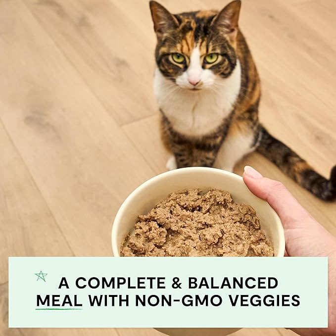 Open Farm Canned Cat Food, Pate for Complete & Balanced Nutrition, Grain Free and Legume-Free Wet Cat Food, Chicken & Salmon Recipe, 2.8oz Cans (Case of 18)