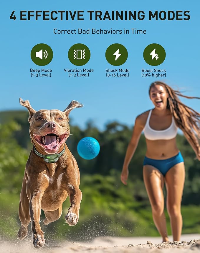 Jugbow Dog Shock Collar - 4200FT Training Collar with Remote for 5-120lbs Large Medium Small Dogs, IPX8 Waterproof E Collar with 4 Training Modes, Security Lock, Rechargeable Shock Collar (Green)
