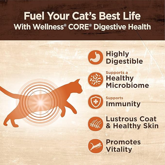 Wellness Core Digestive Grain Free Canned Cat Wet Food Pate - 12 Pack Cans Variety Bundle Pack 4 Flavor - (Chicken, Salmon Whitefish & Turkey) with Hotspot Pets Pet Food Bowl - (3 Oz)