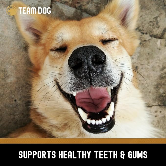 Team Dog Beef Trachea Dog Chews | Single Ingredient Treat | 100% Freeze Dried Beef Gullet Sticks for Dogs | Supports Healthy Teeth & Gums | All Natural Esophagus Dog Treats Made in USA | 3 Per Bag