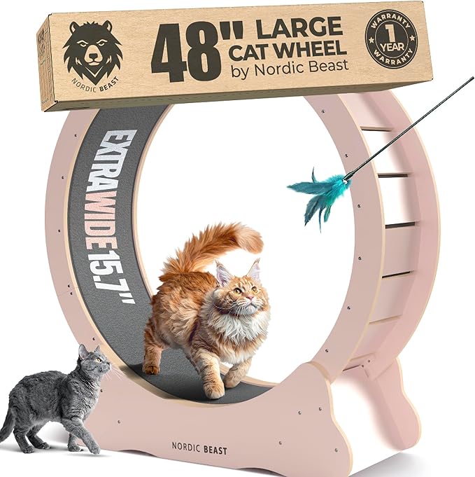 Pink 48'' XL Cat Wheel – Safe, Quiet & Stable Exercise Wheel for Large Indoor Cats up to 45 lbs – 15.7'' Extra-Wide Surface Fits 2 Cats Side by Side & Prevents Wobbling, 1-Year Warranty