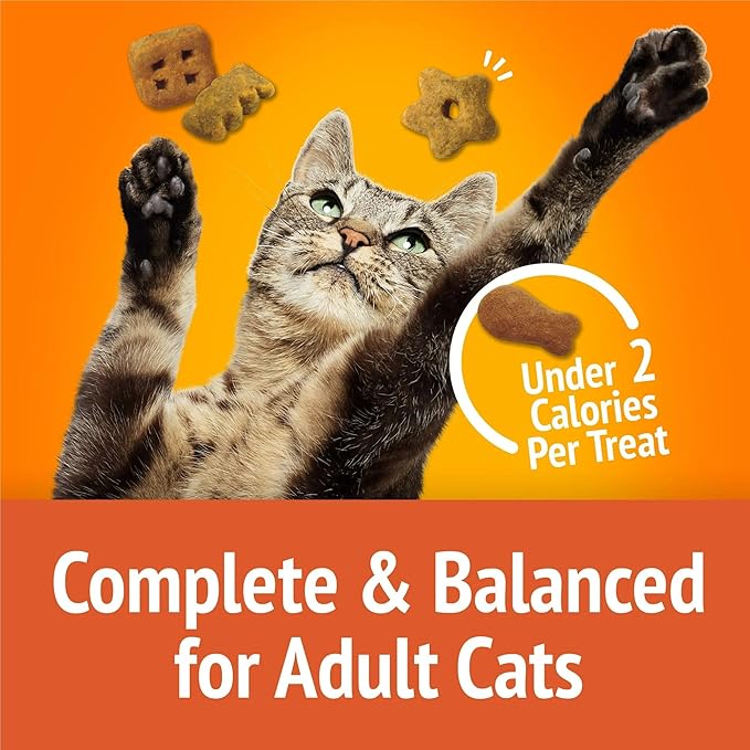Cat Treats - With Chicken & Flavors of Liver & Turkey - 20 oz (Pack of 2)