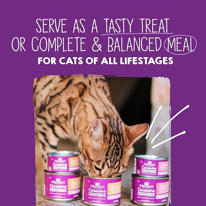 Stella & Chewy's Carnivore Cravings Savory Shreds - Wet Cat Food - High-Moisture Formula with Premium Real Meat - Perfect for Picky Eaters - Variety Pack, 2.8 oz, 24 Count
