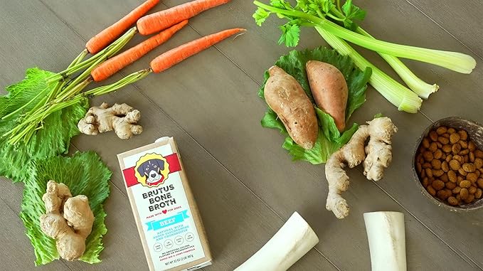 Brutus Bone Broth for Dogs (Beef, 2-Pack) On The Go Instant Bone Broth (Beef, 5-Pack)