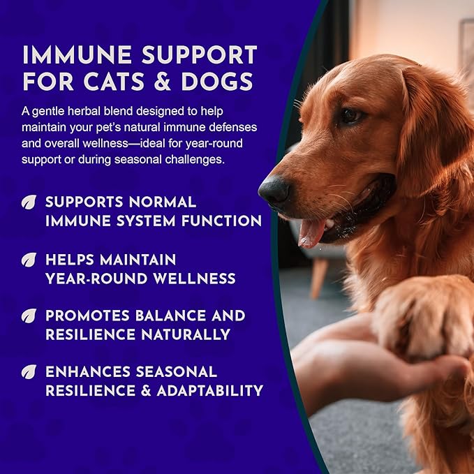 Animal Essentials Super Immune - Dog & Cat Immune Support for Puppies with Olive Leaf Extract & Echinacea, Olive Root for Dogs, Supports Respiratory Health & Overall Wellness - 1 Fl Oz