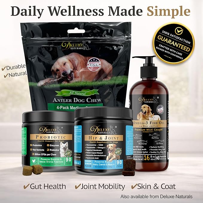 Omega-3 Fish Oil for Dogs & Cats – 2-Pack (16 fl oz Each) High-Potency Wild-Caught Fish Oil with 800 mg EPA + 525 mg DHA per Teaspoon, Supports Skin & Coat and Joint Health Supplement