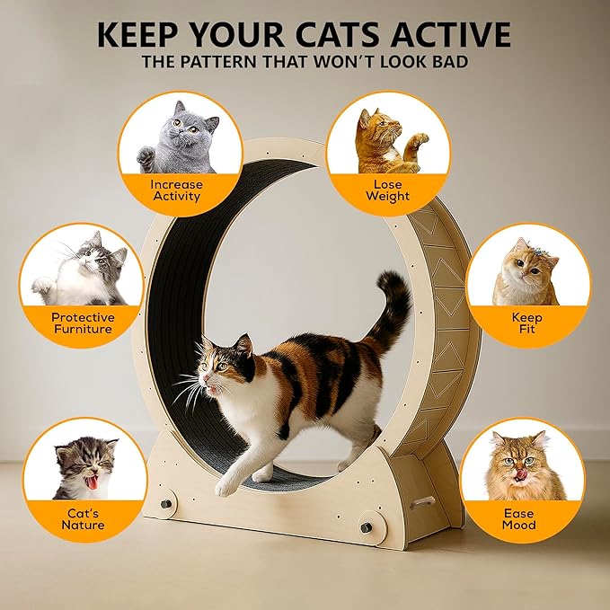 Portable Cat Running Wheel for Indoor Cats 44" Large XL 12" Wide, Cat Treadmill, Wheel with Carpeted Runway for Kitty’s Longer Life, Moveable Safe & Stable Design.