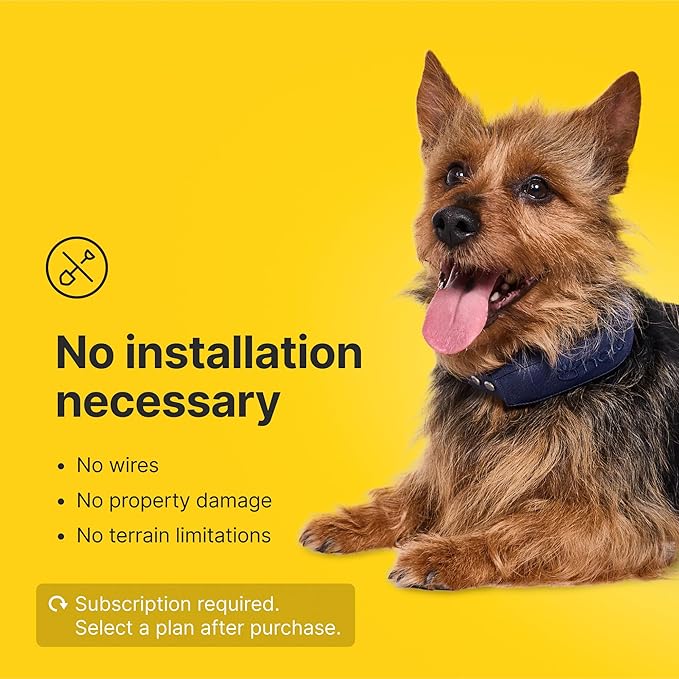 Halo Collar 4, GPS Wireless Dog Fence & Dog Training Collar with GPS Tracker, Subscription Required, Waterproof, Sunburst, One Size