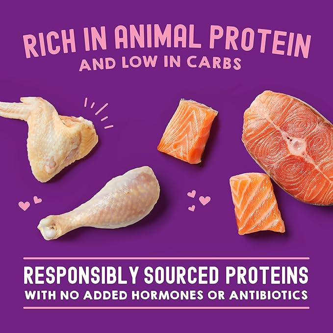 Stella & Chewy's Carnivore Cravings Wet Cat Food - Premium Pouches - Grain Free, High Protein Chicken & Salmon - Perfect For Picky Eaters - Complete Meal or Topper (2.8 oz, 24 Pack)