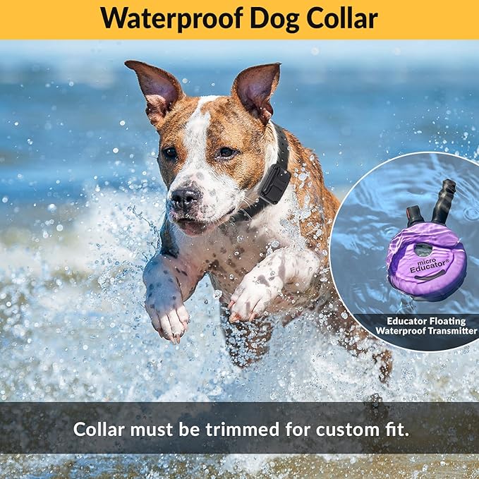 Educator ME-302 DMBC Micro E-Collar Two Dog Training Collar with Remote 100 Levels Safe Selectable Stimulation Night Light Waterproof Finger Clicker Rechargeable 1/3 Mile range for Small & Medium Dogs