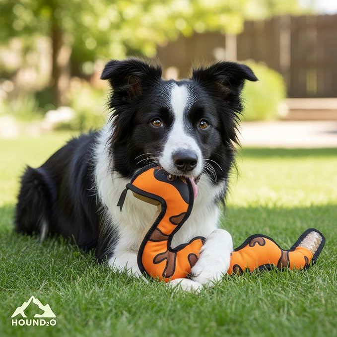 Plush Dog Toys | Snake Stuffed Animal Squeaky Toy for Dogs | Outdoor Pet Toy Built for Adventure