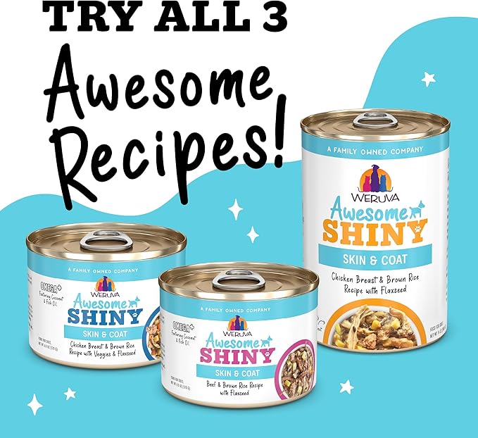 Weruva Awesome Shiny Wet Dog Food, Chicken & Brown Rice, 14oz Can (Pack of 10)