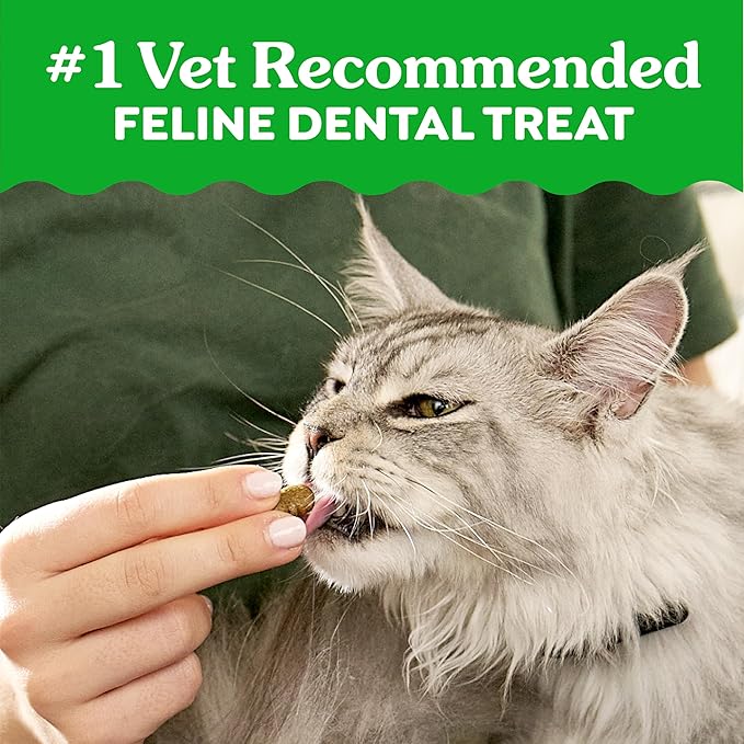 Greenies Cat Treats, Feline Veterinarian-Recommended Adult Natural Dental Cat Treats, Savory Salmon Flavor, 2.1 oz. Pouch