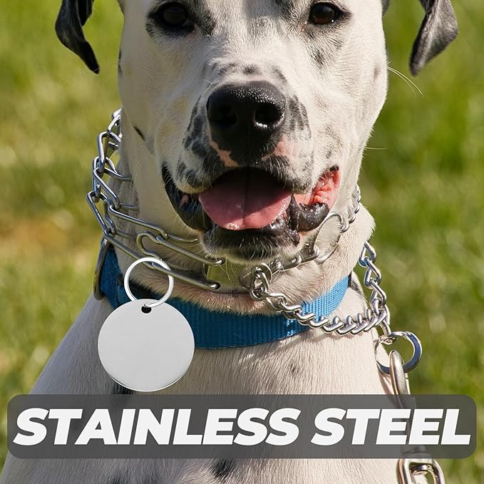 HANABASS 10pcs Stainless Steel Dog Tag Blank Pendants 30mm Smooth Metal Stamping Tags for Pet Id Engraving DIY Craft Supplies