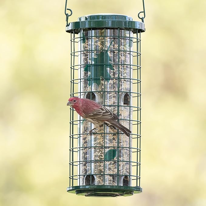 Perky-Pet Squirrel Stumper Wild Bird Feeder - Keep Squirrels Out - 8 Feeding Ports for Wild Birds - 3 lb Wild Bird Seed Capacity - 114G, Green - Decor for Outdoors