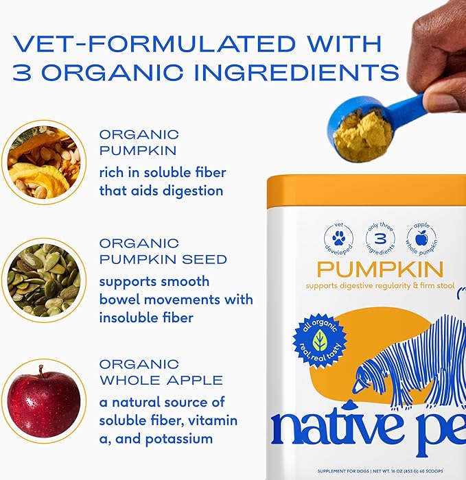 Native Pet Beef Bone Broth for Dogs (9.5 oz) & Organic Pumpkin for Dogs (16 oz.) - Food Topper for Picky Eaters and All-Natural, Organic Fiber Pumpkin Powder