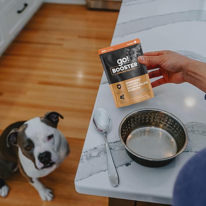 Go! Solutions Booster Immune Health Shredded Chicken + Salmon in Broth Gravy Topper for Dry Food, Real Meat Wet Dog Treat for Healthy Immunity in Puppies, Adults, & Seniors, 2.8 oz Pouch (12 Pack)
