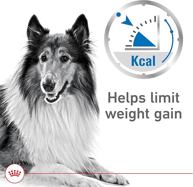 Royal Canin Canine Care Nutrition Weight Care Adult Loaf in Sauce Dog Food, 13.5 oz (Pack of 12)