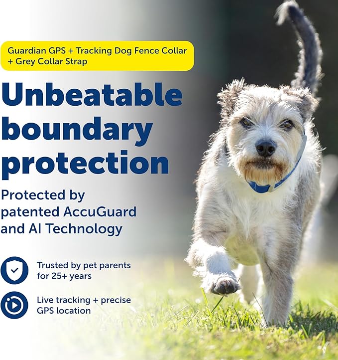 PetSafe Guardian GPS Tracking Dog Fence Collar - Reliable Dog Fence - Wireless Virtual System - Waterproof Collar - Long Lasting Battery - Grey
